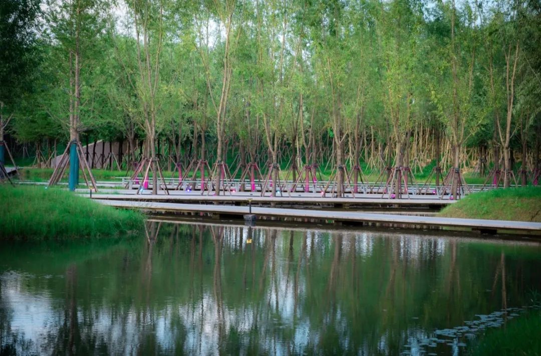 伏羲文化公园旅行图片 3