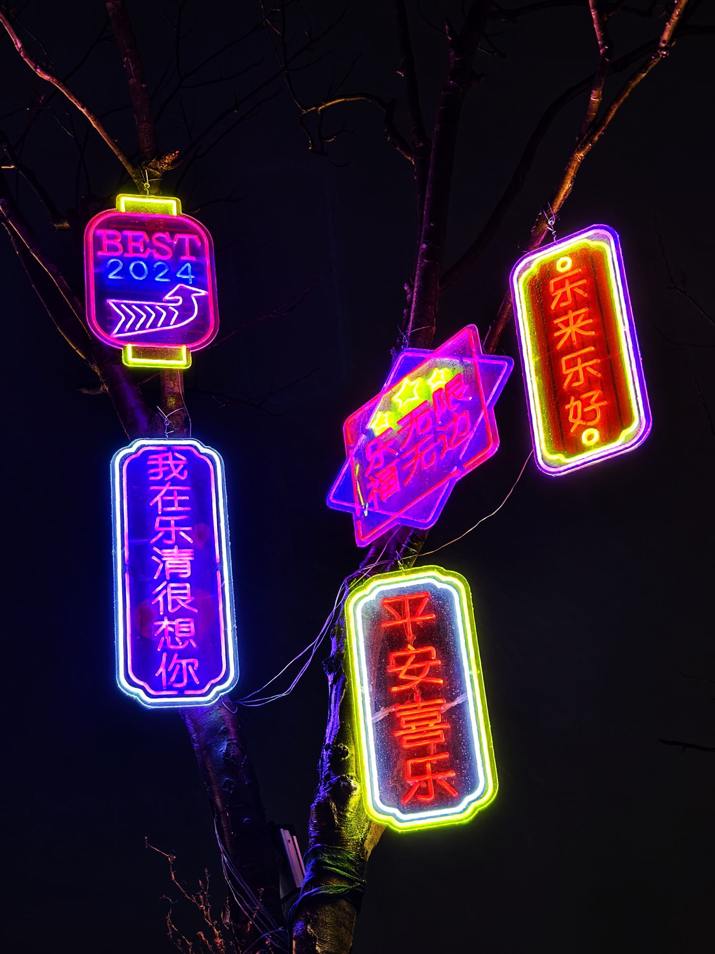 东运河公园旅行图片 2