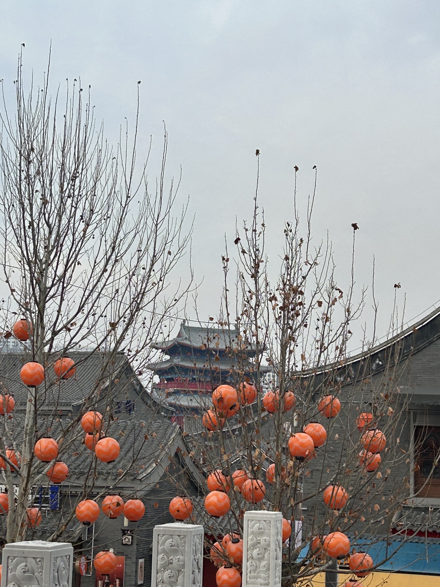南川老街旅行图片 1