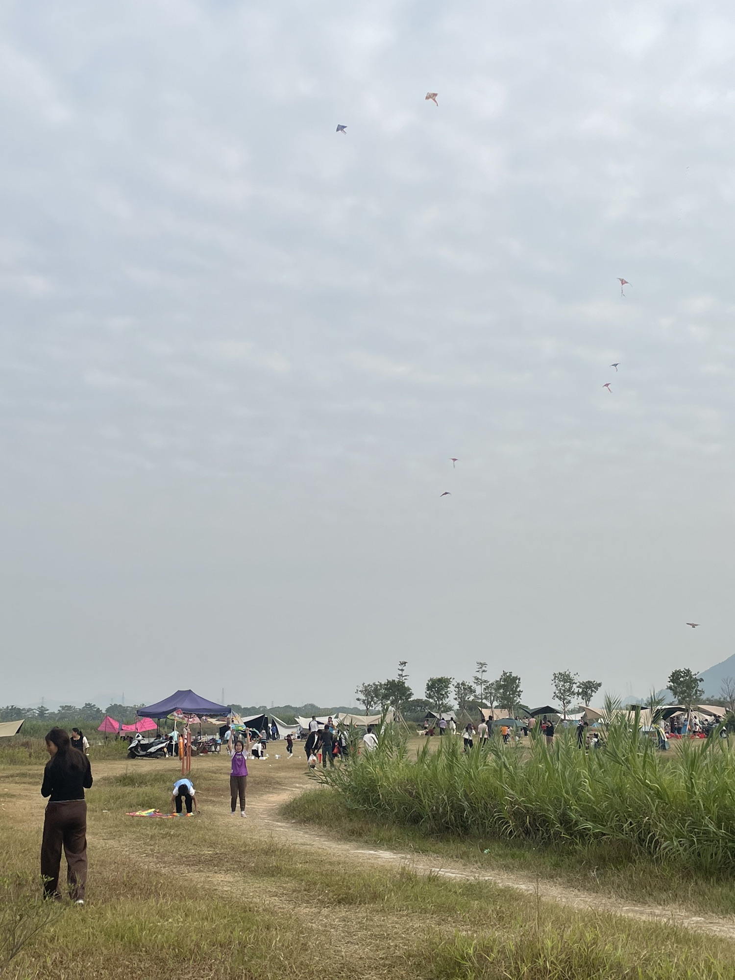 鳌岛湿地公园旅行图片 3