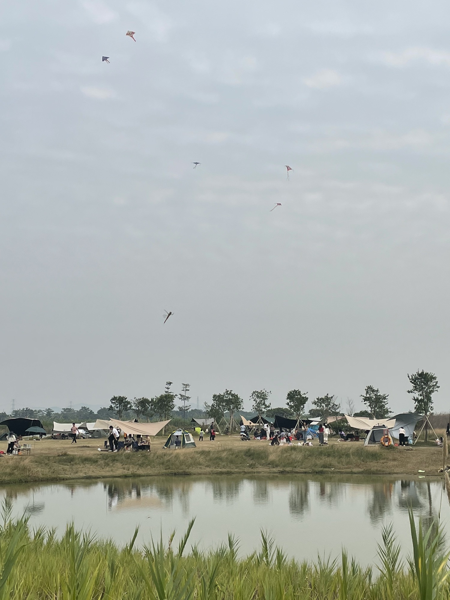 鳌岛湿地公园旅行图片 1