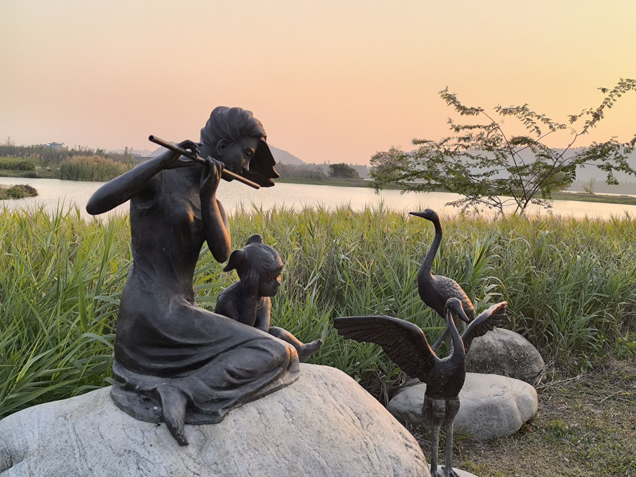 鳌岛湿地公园旅行图片 2