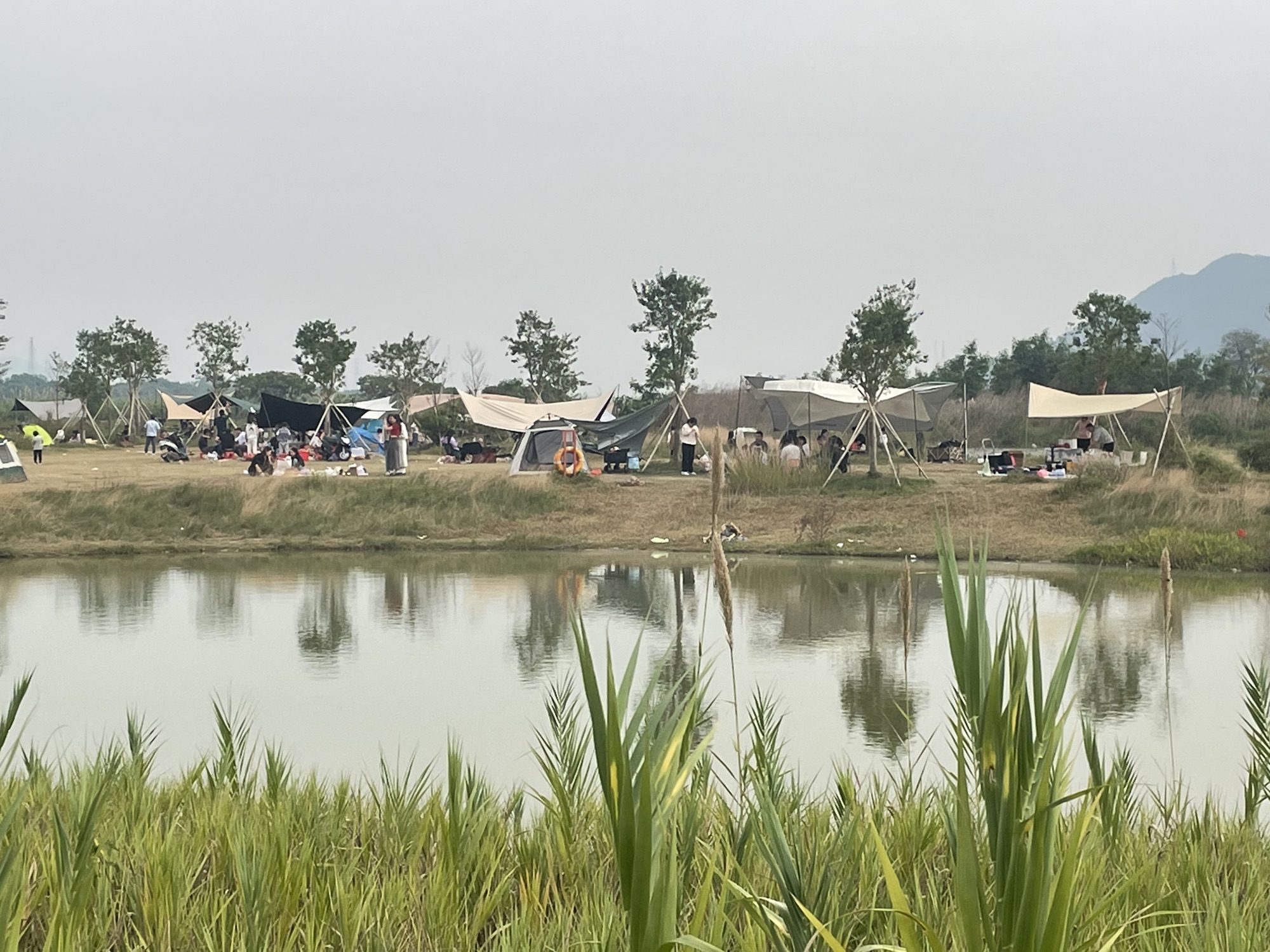 鳌岛湿地公园旅行图片 2