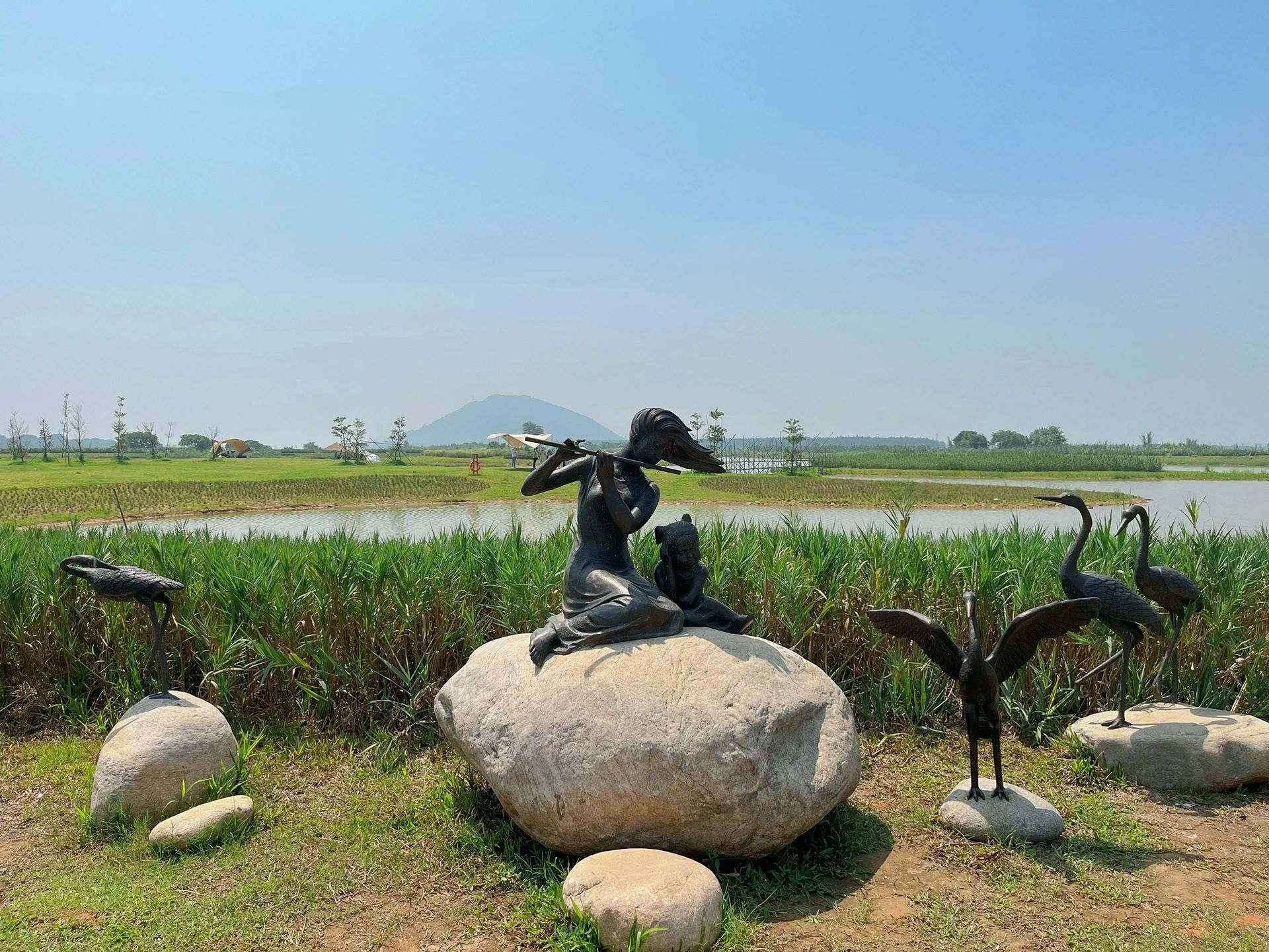 鳌岛湿地公园旅行图片 3