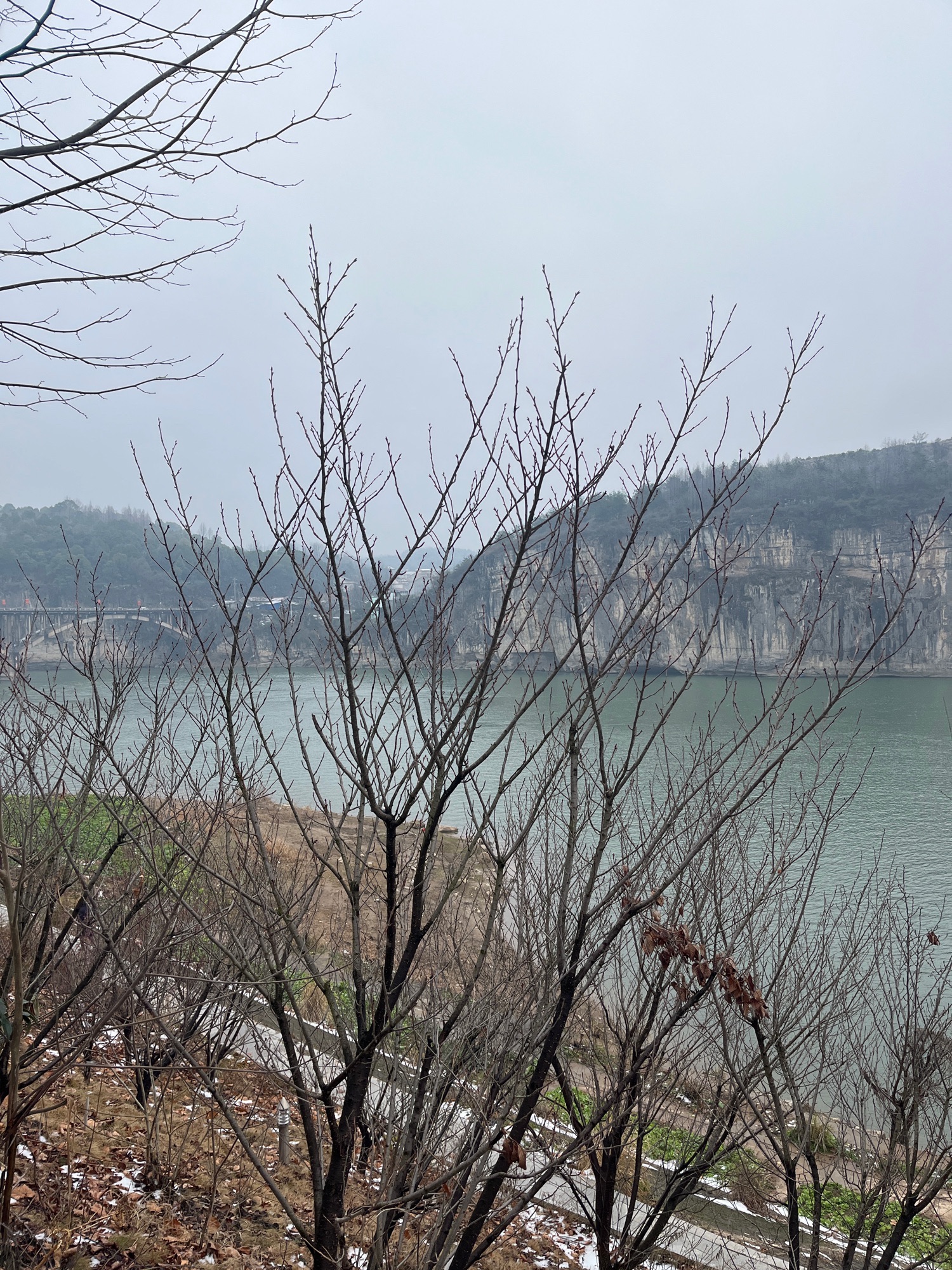 屈原广场旅行图片 2