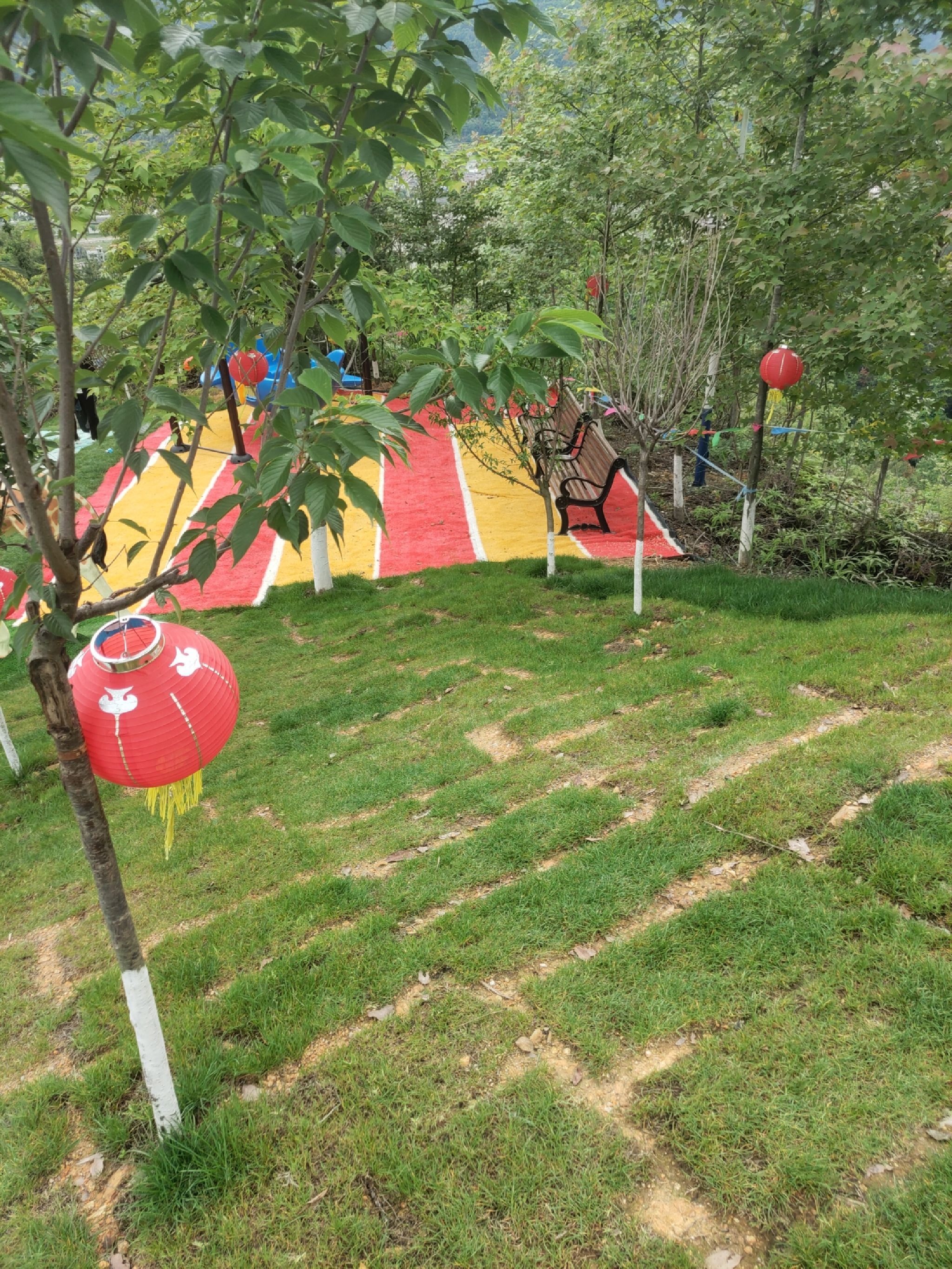 菇溪森林公园旅行图片 2