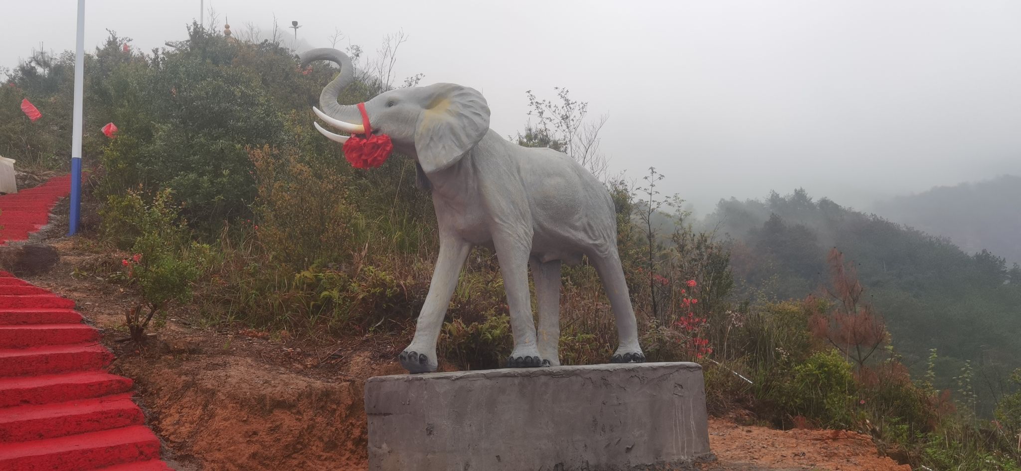 菇溪森林公园旅行图片 3