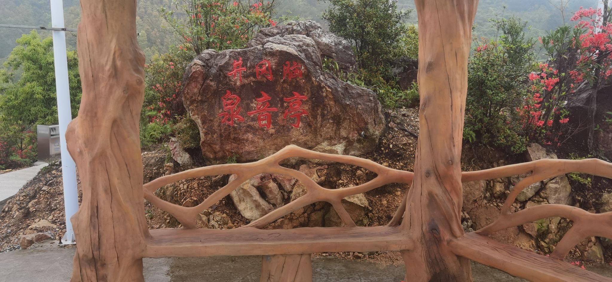 菇溪森林公园旅行图片 2