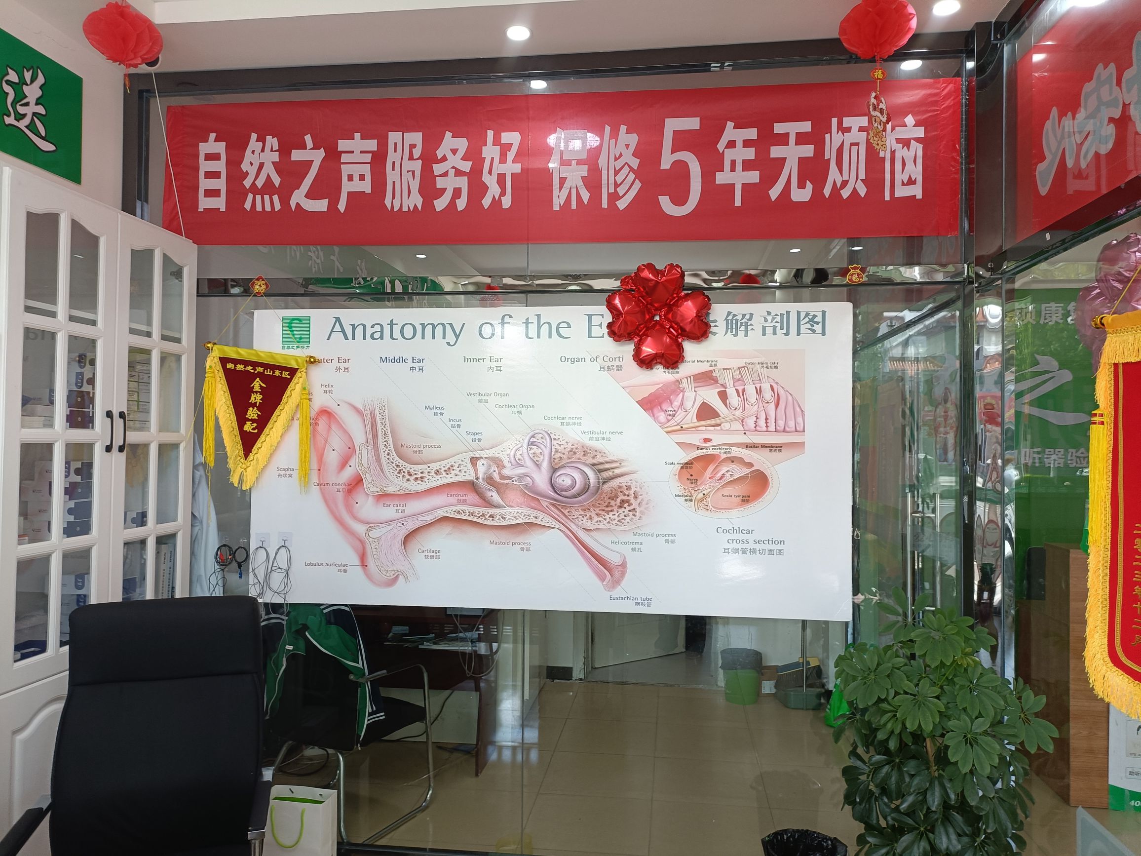 自然之声助听器·呼吸机(利津店)