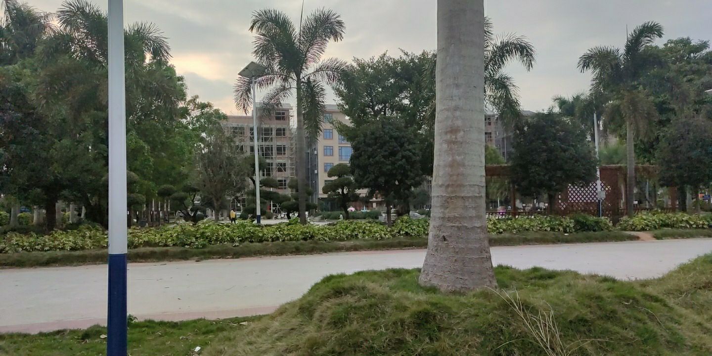 文明实践广场旅行图片 2