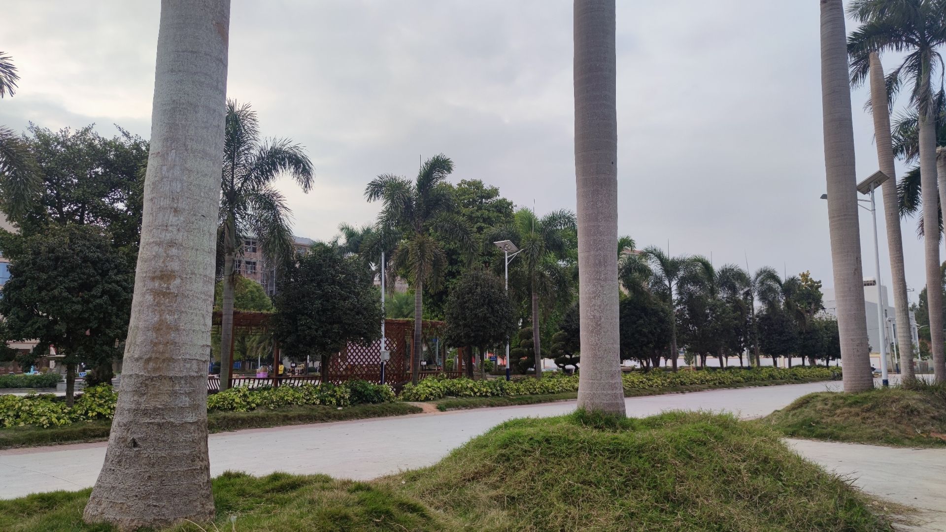 文明实践广场旅行图片 1