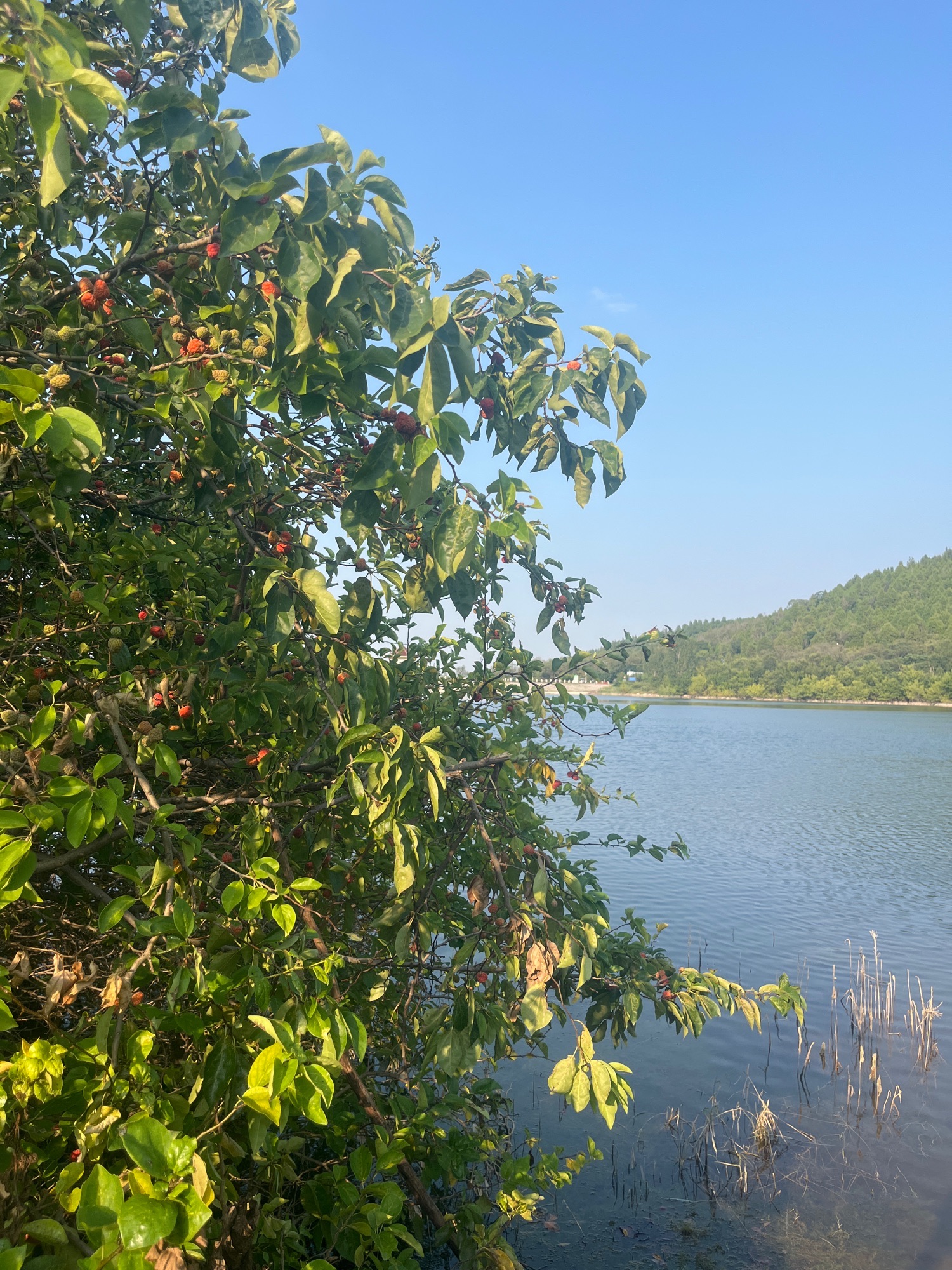 杨峪风景区旅行图片 1