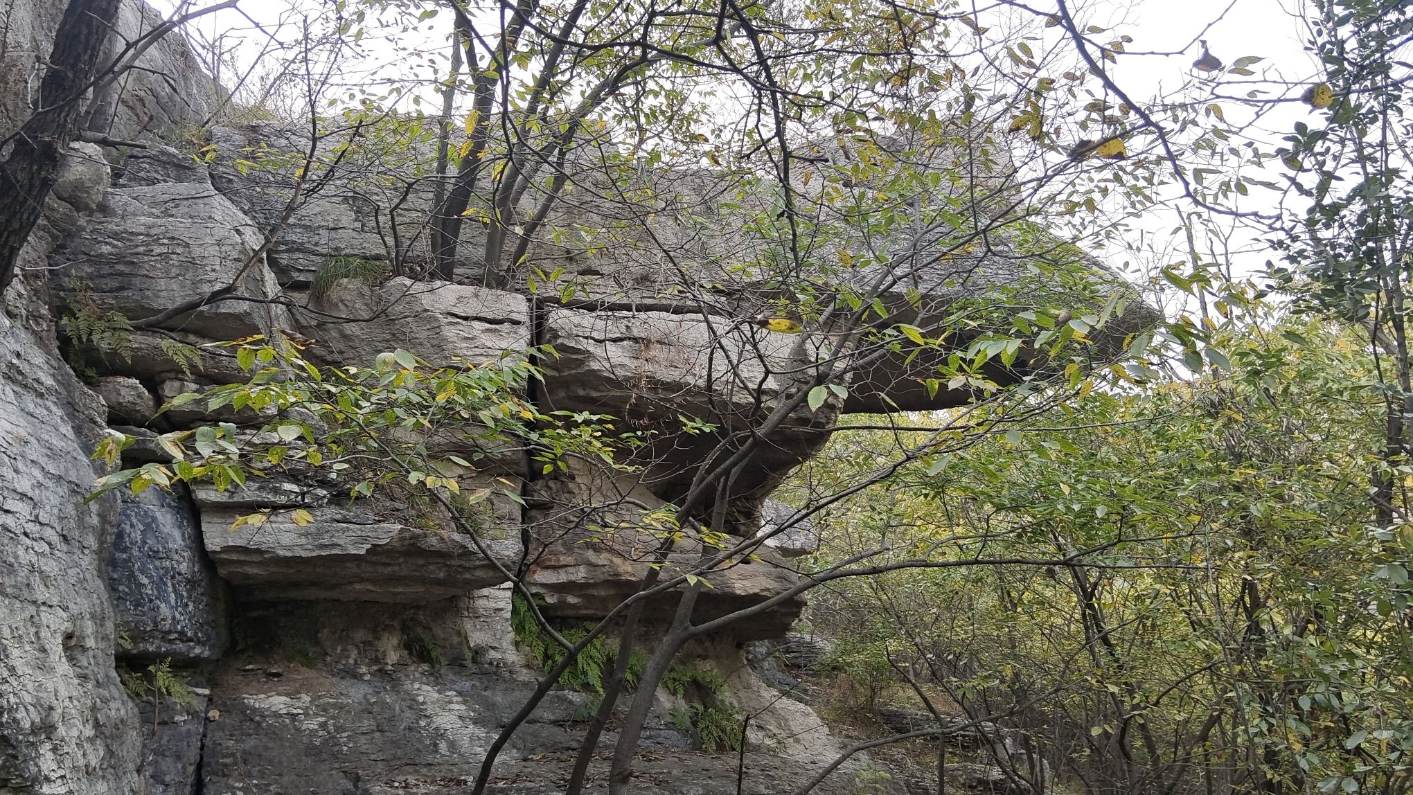 杨峪风景区旅行图片 3