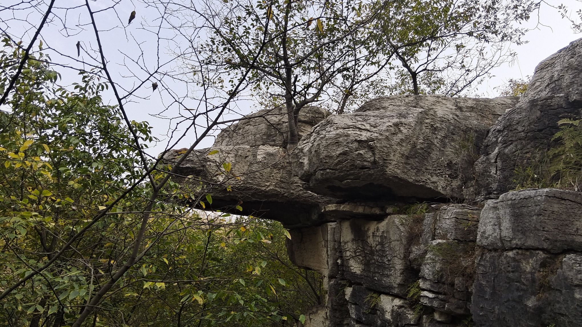 杨峪风景区旅行图片 2