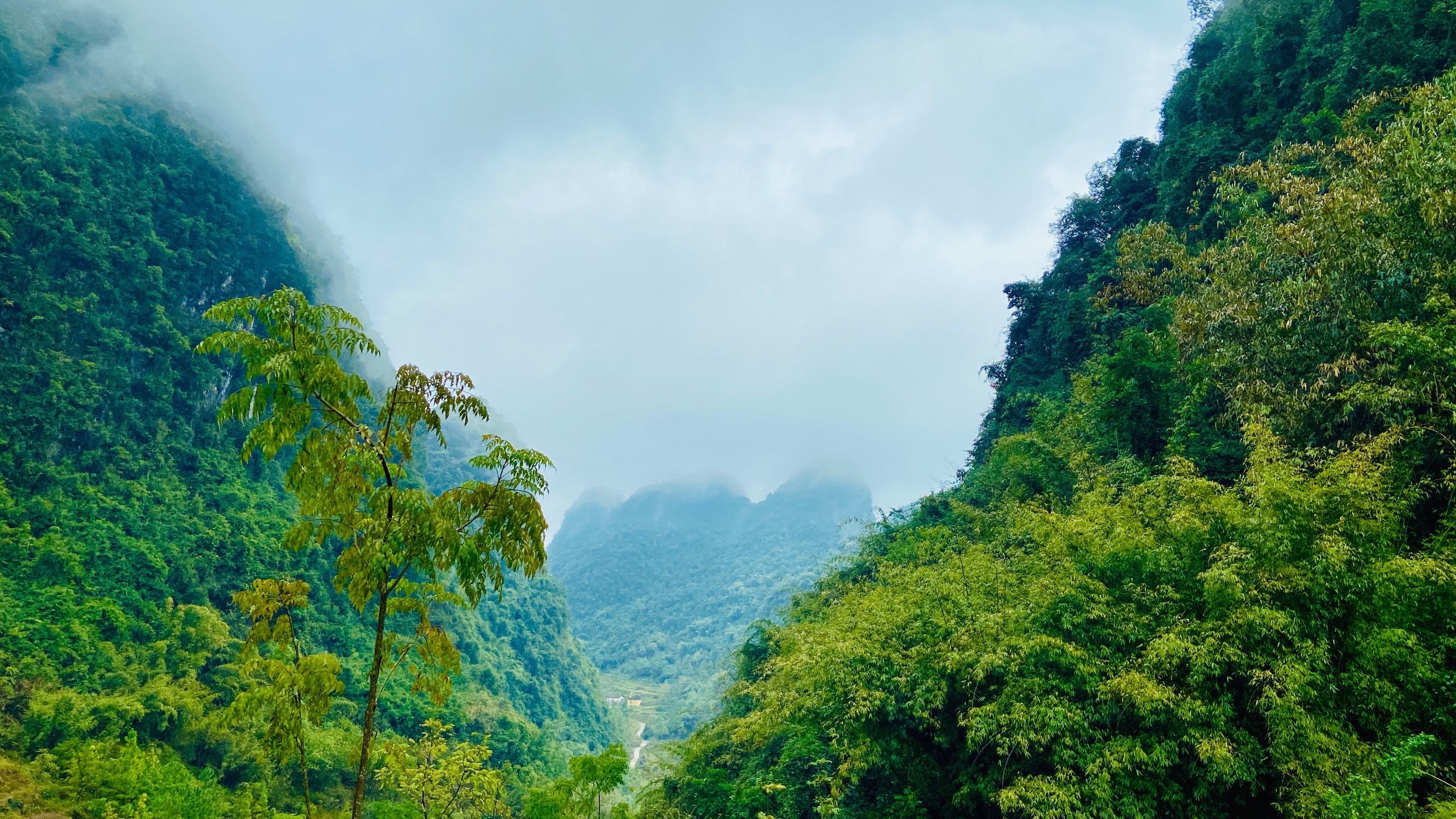 广西宜山旅行图片 2