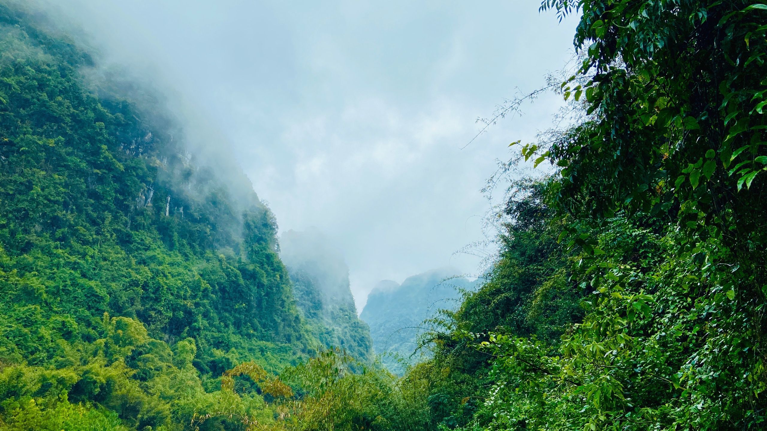 广西宜山旅行图片 3