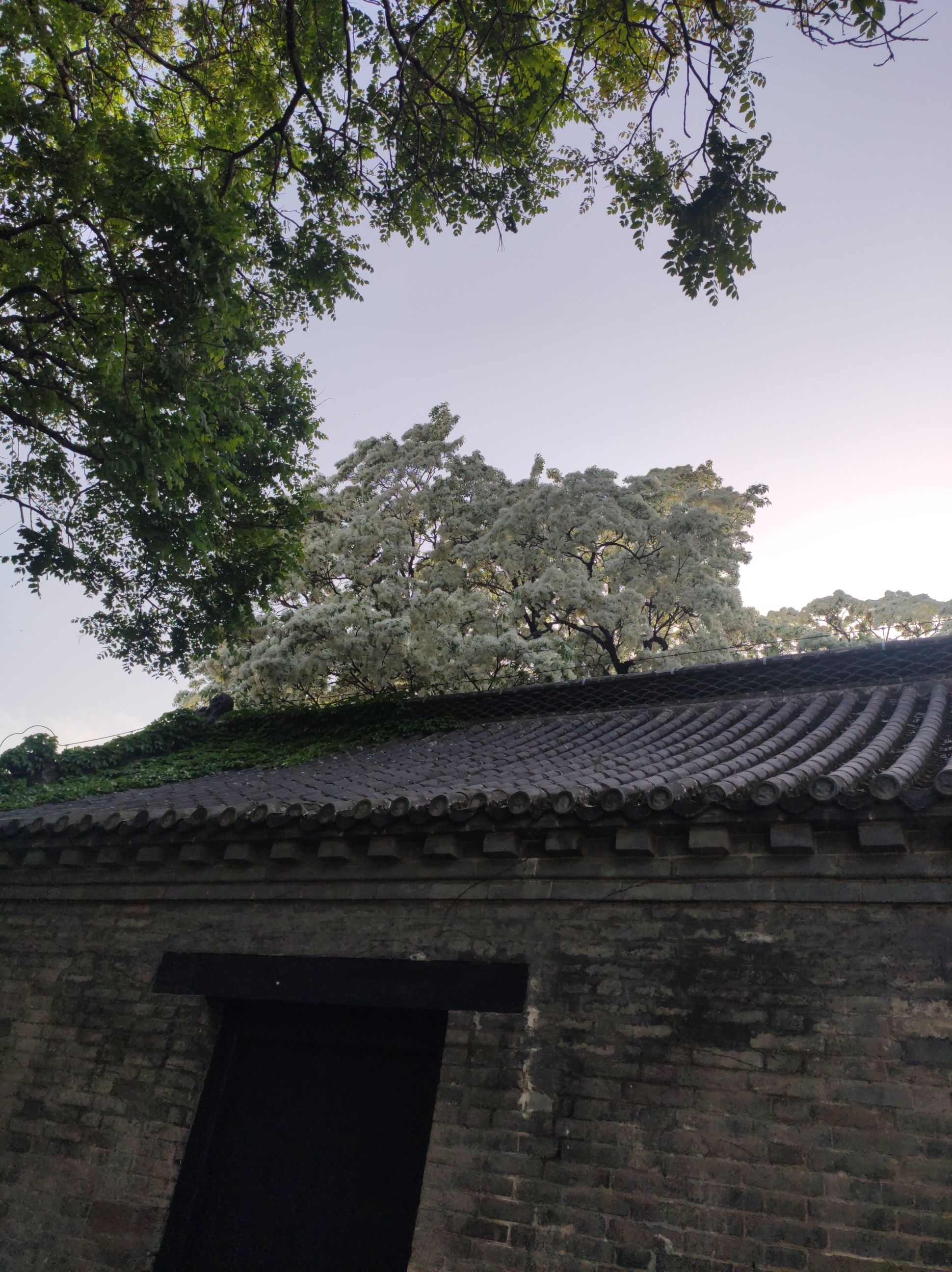 惠山公园旅行图片 3