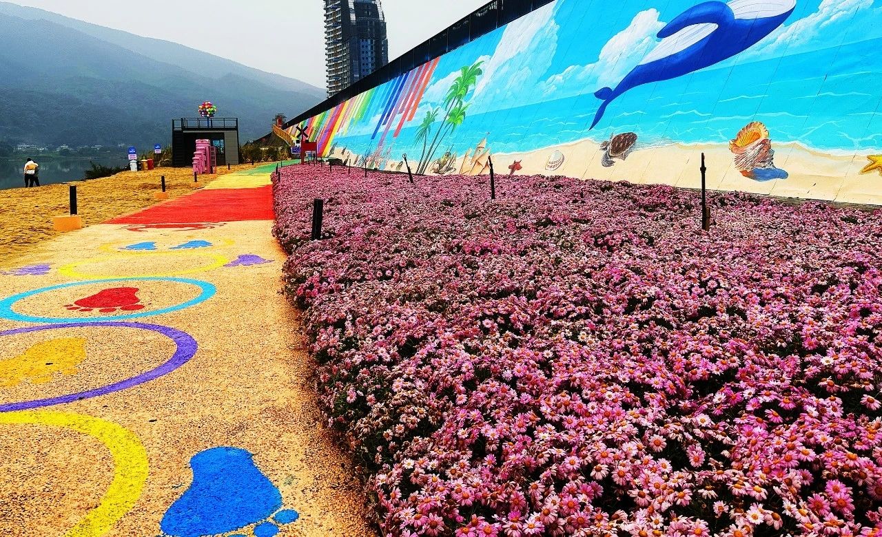 黄金江岸旅行图片 2