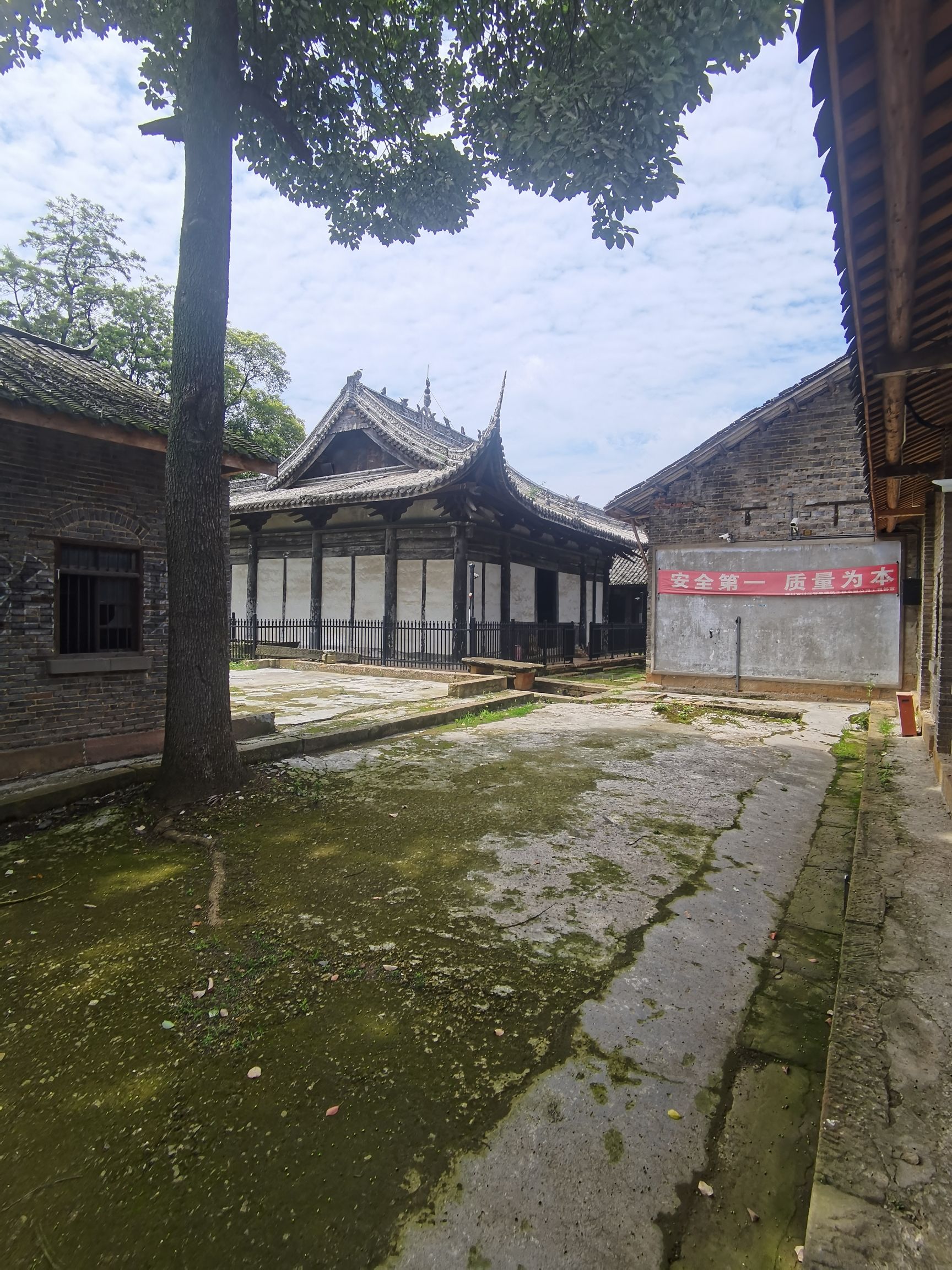 五龙山森林公园旅行图片 2