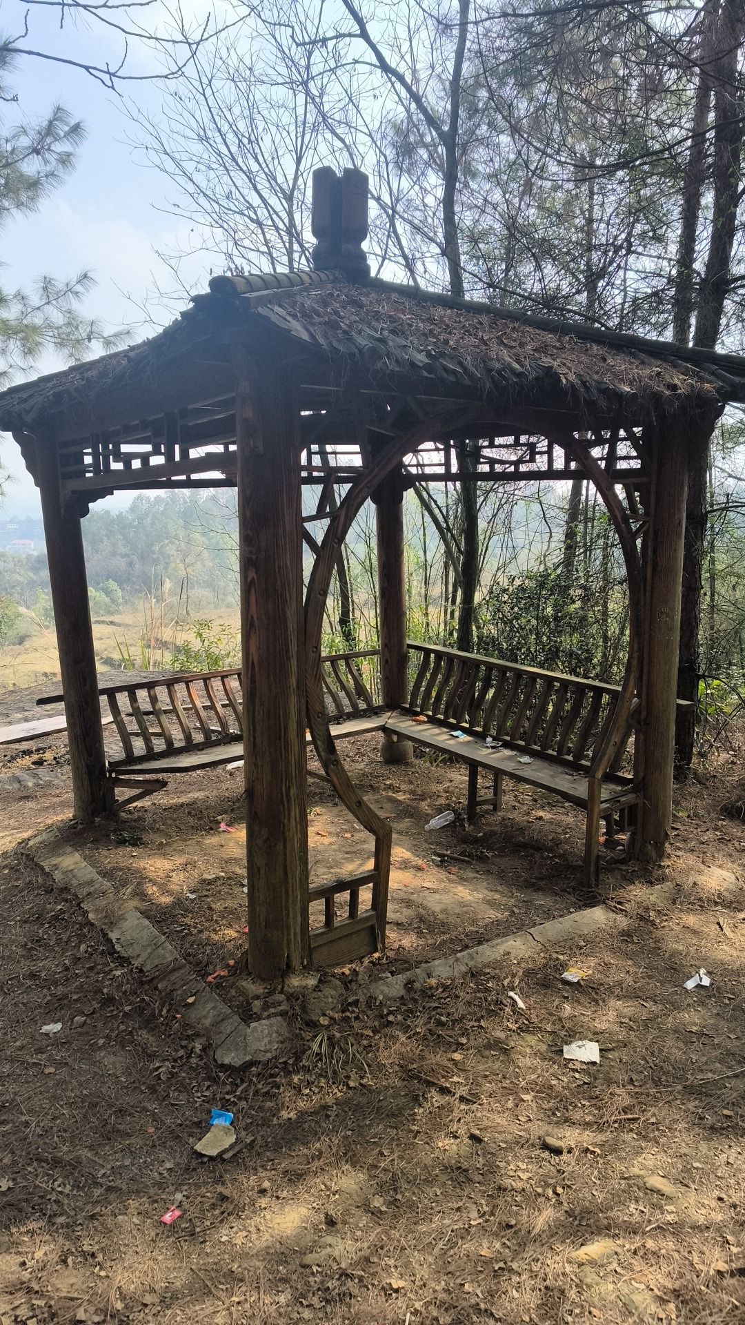 五龙山森林公园旅行图片 1