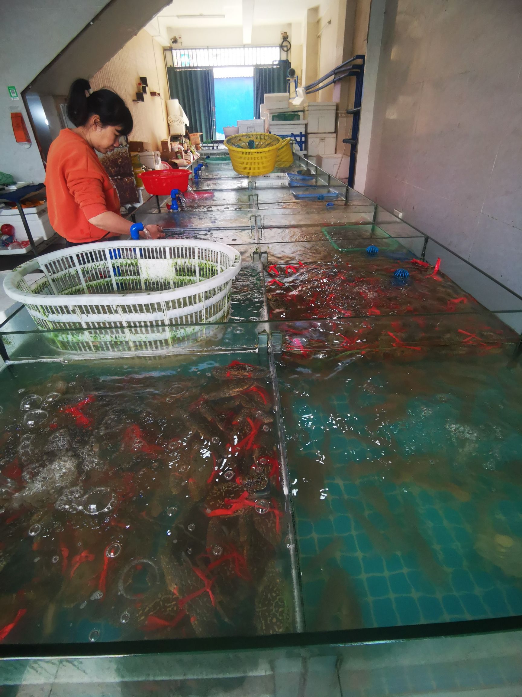 渔林海鲜