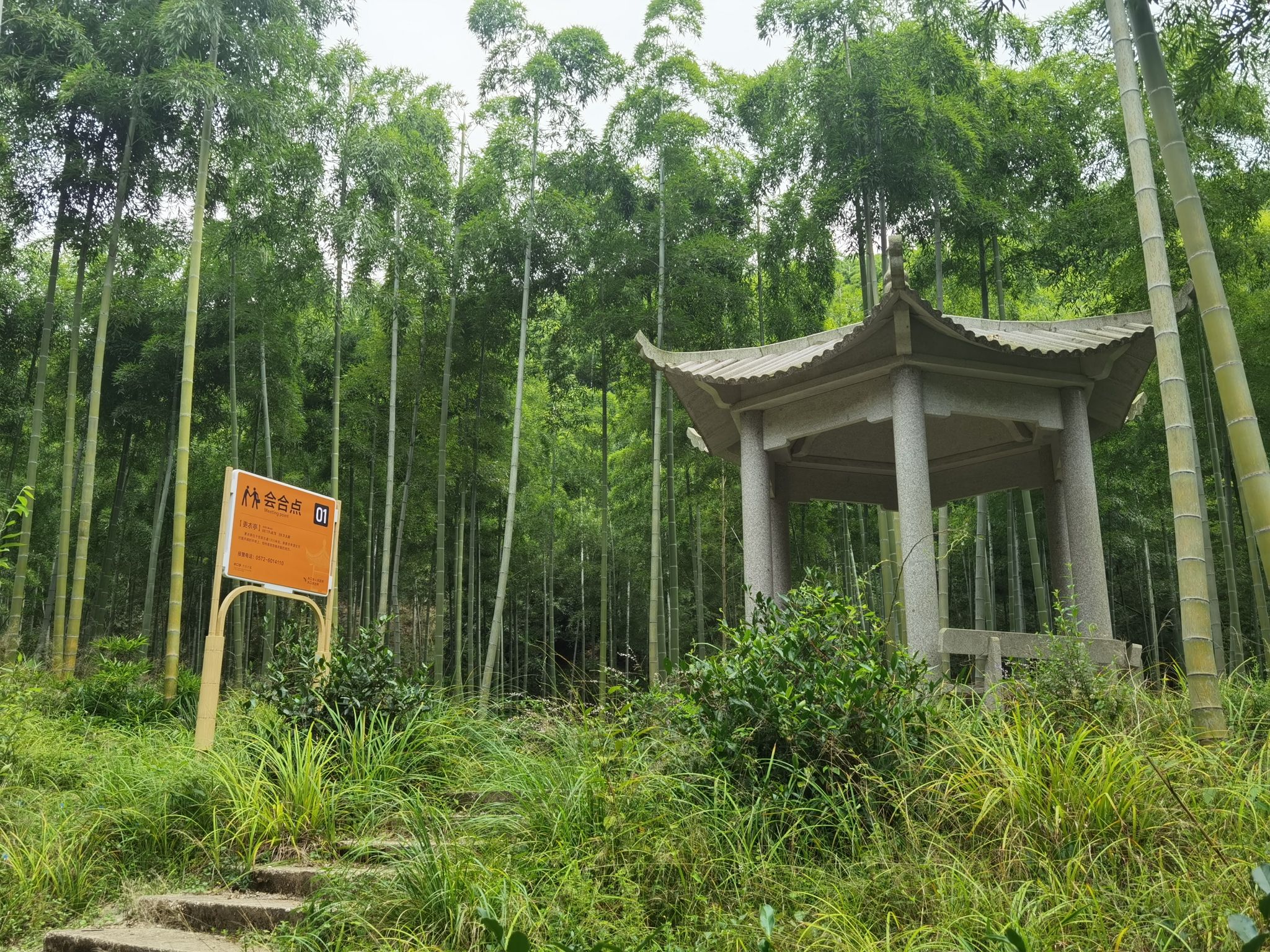 贡茶古道旅行图片 3