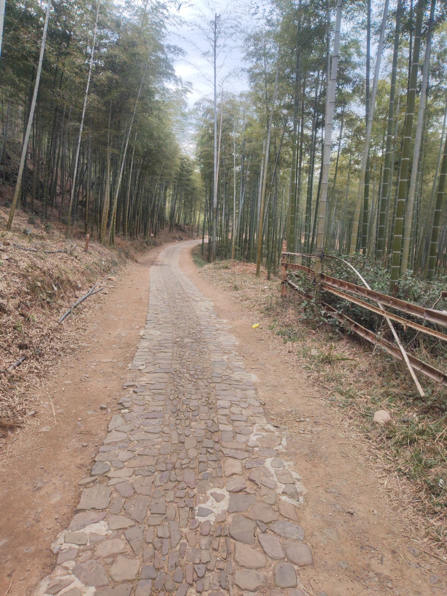 贡茶古道旅行图片 2