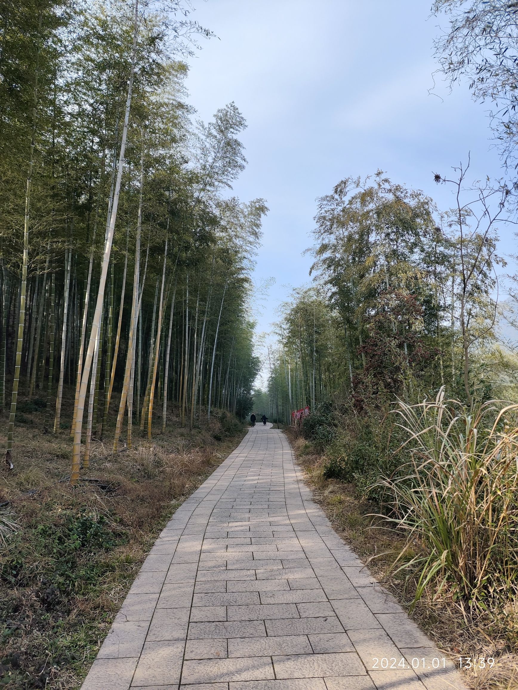 贡茶古道旅行图片 2