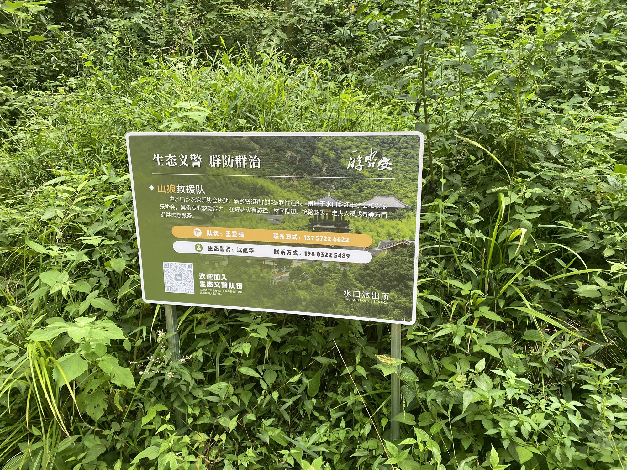 贡茶古道旅行图片 3