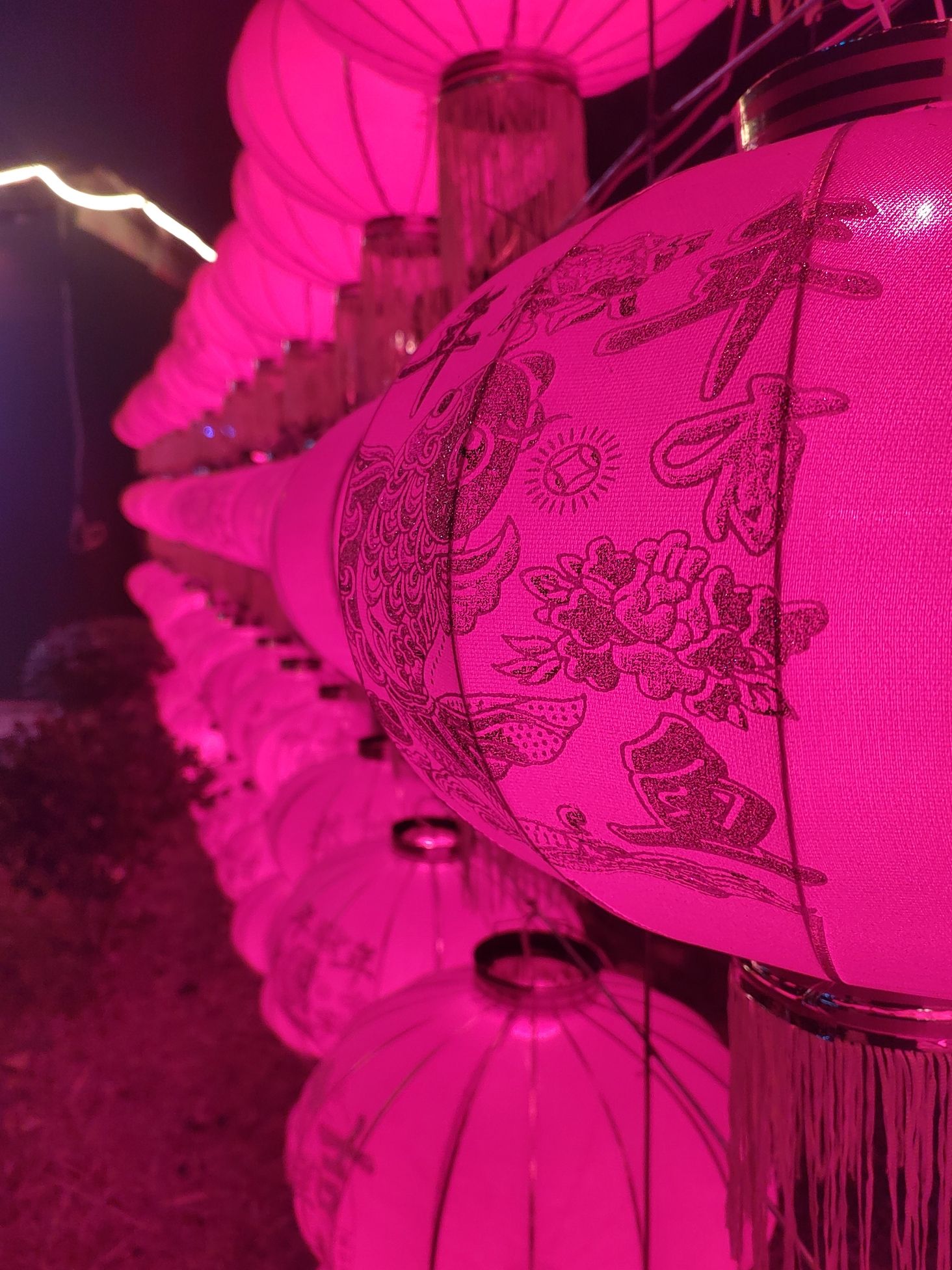 绵阳彩灯大世界旅行图片 2