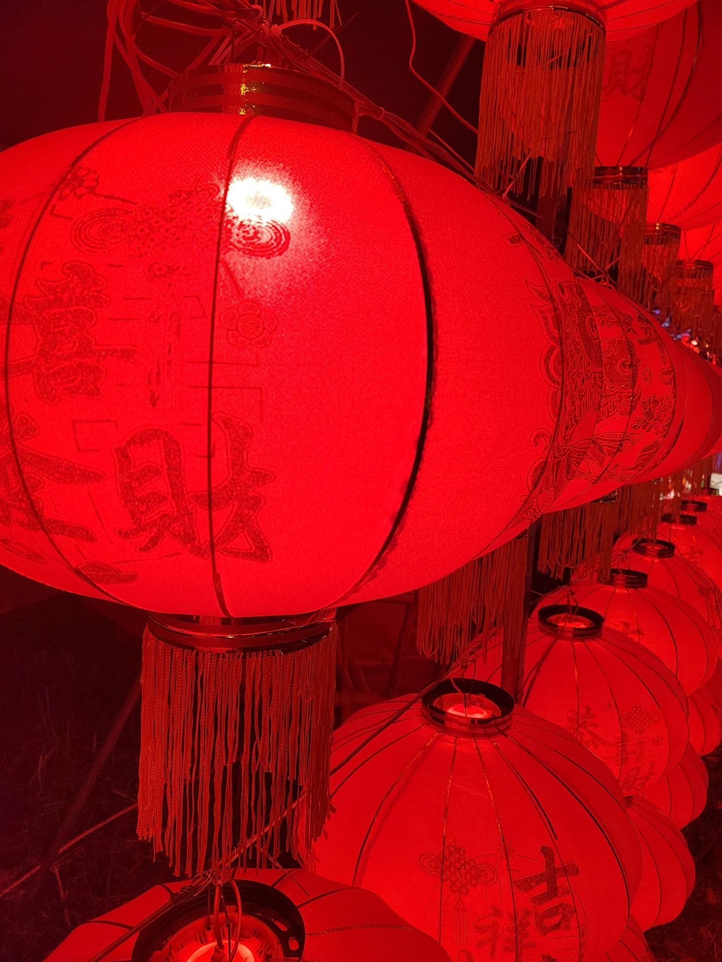 绵阳彩灯大世界旅行图片 1