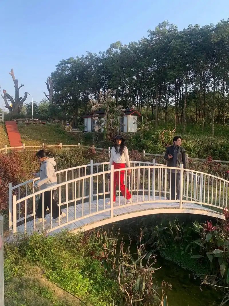 九木四季花谷旅行图片 3