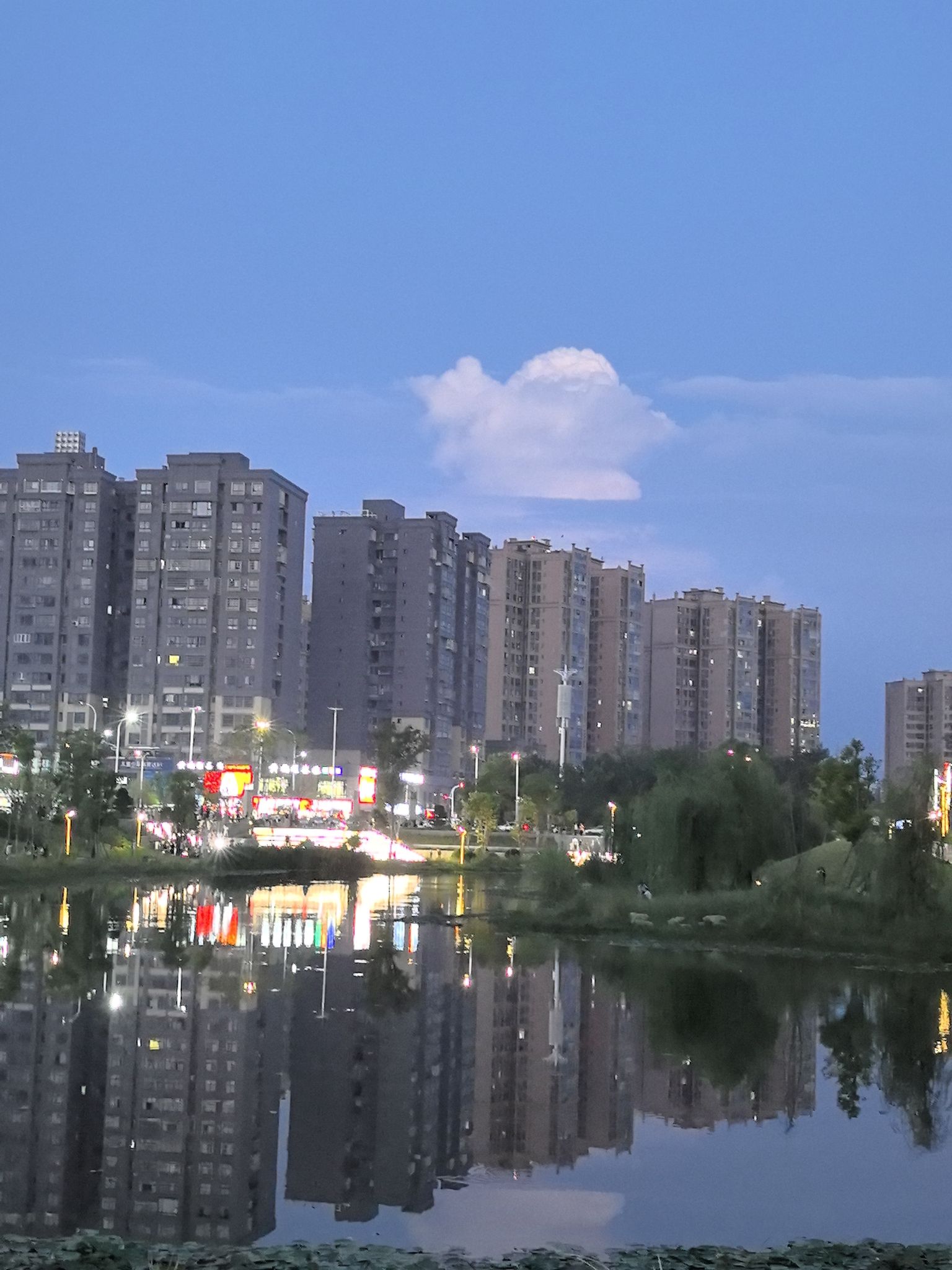 黄桷堰湿地公园旅行图片 3