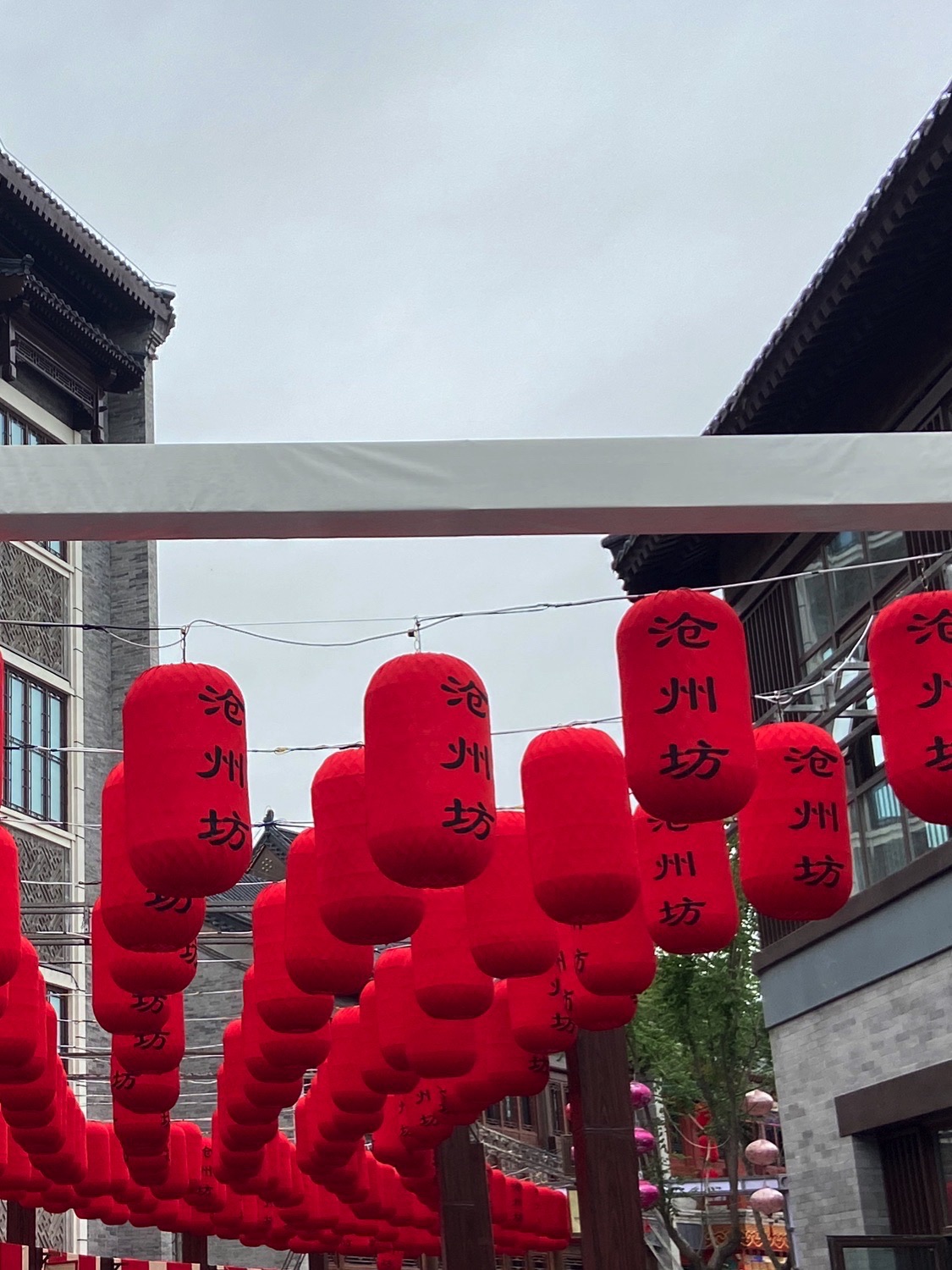 大运河沧州坊旅行图片 3