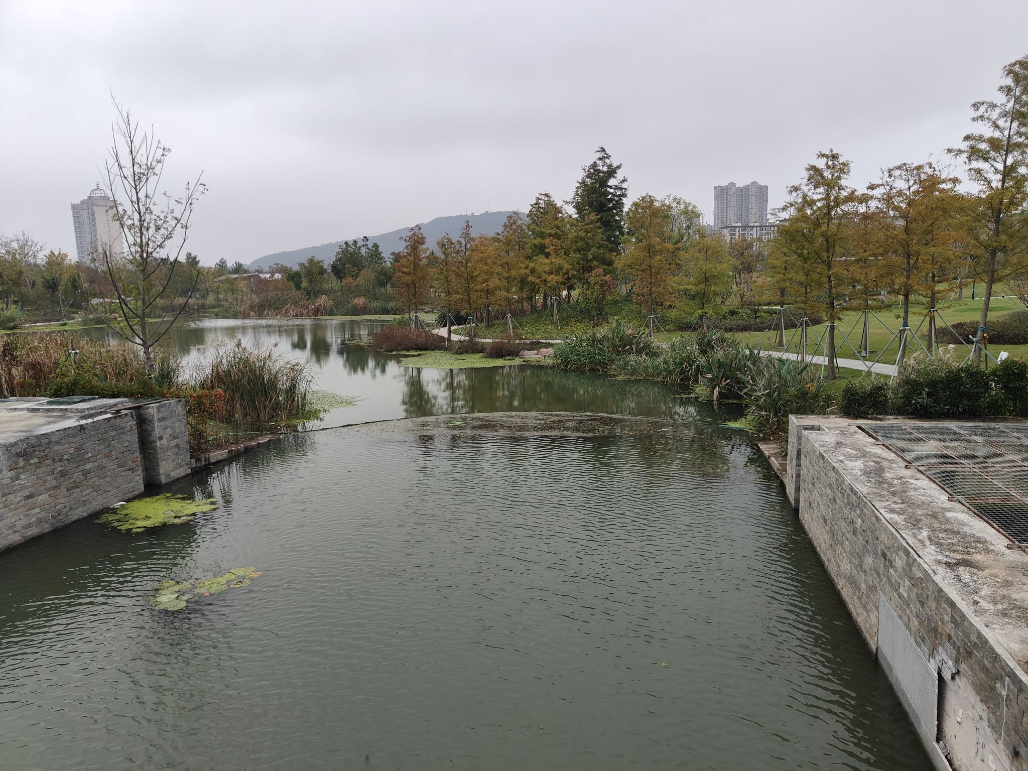 滨海中央公园旅行图片 3