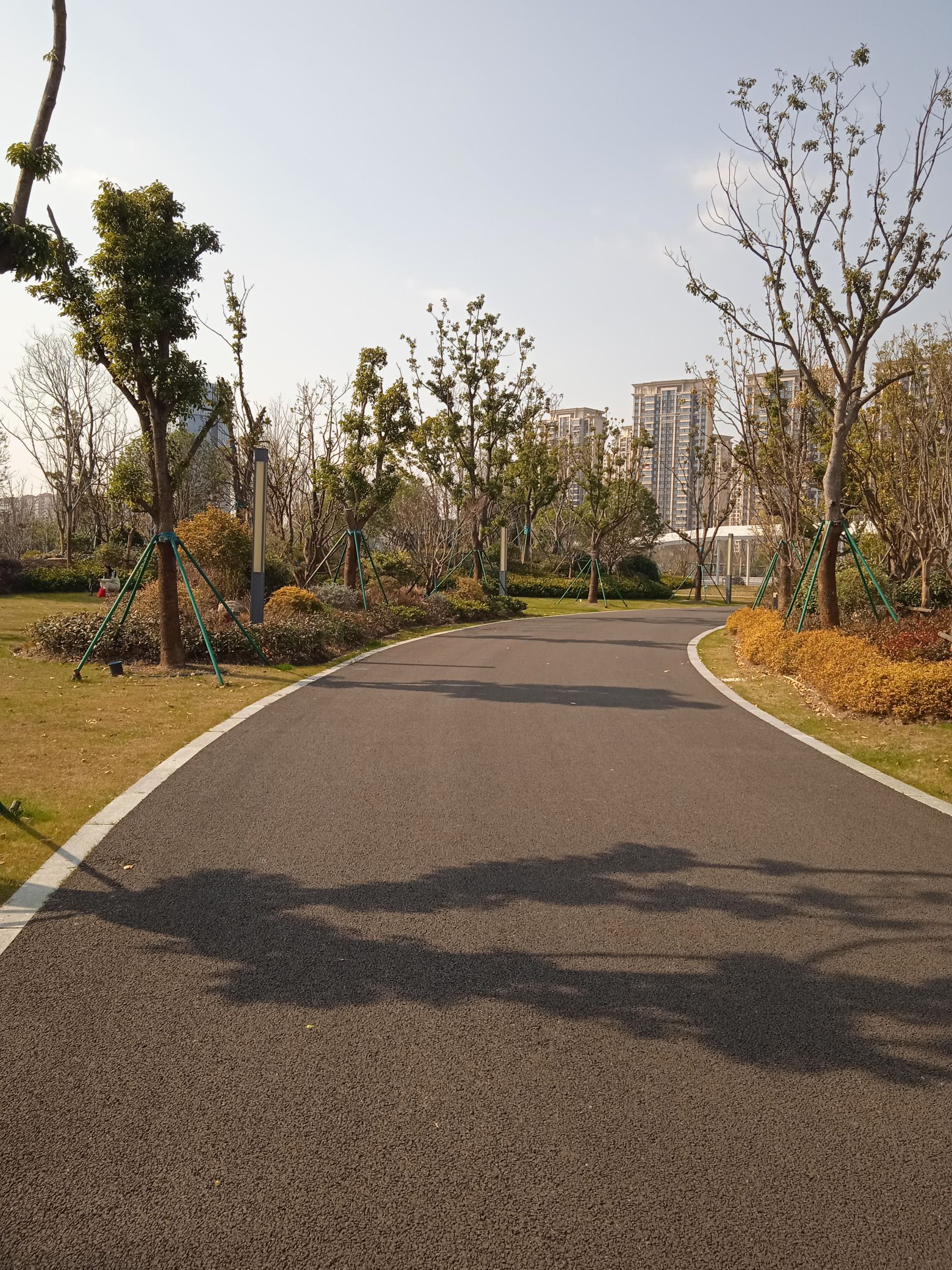 滨海中央公园旅行图片 1