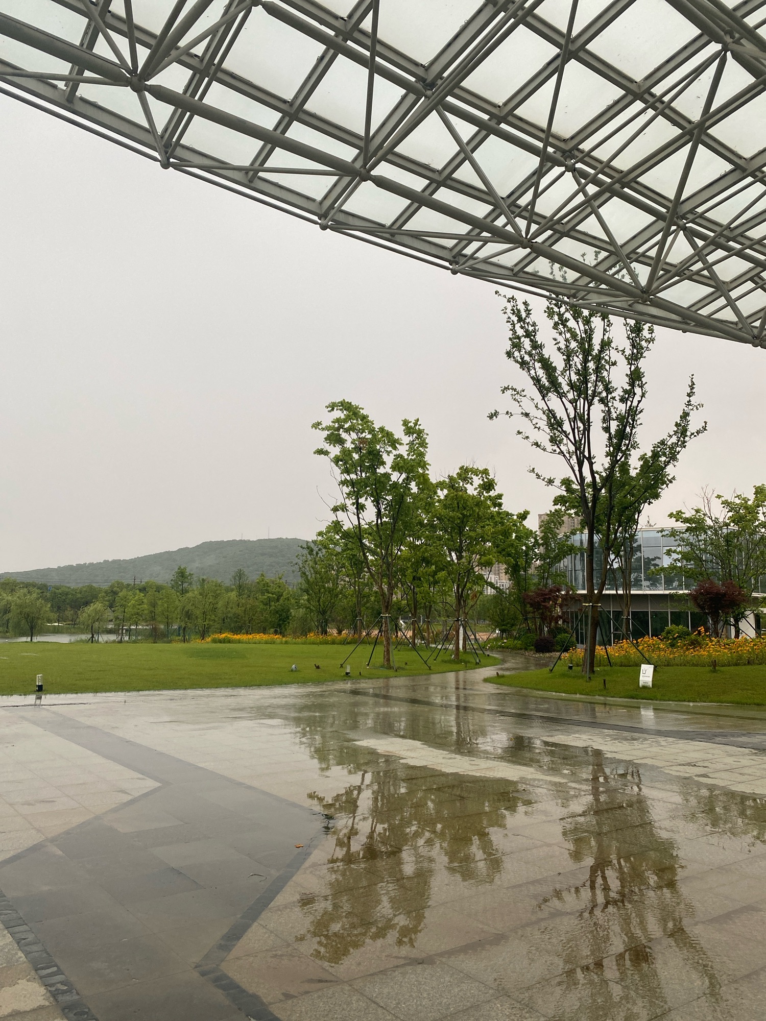 滨海中央公园旅行图片 1