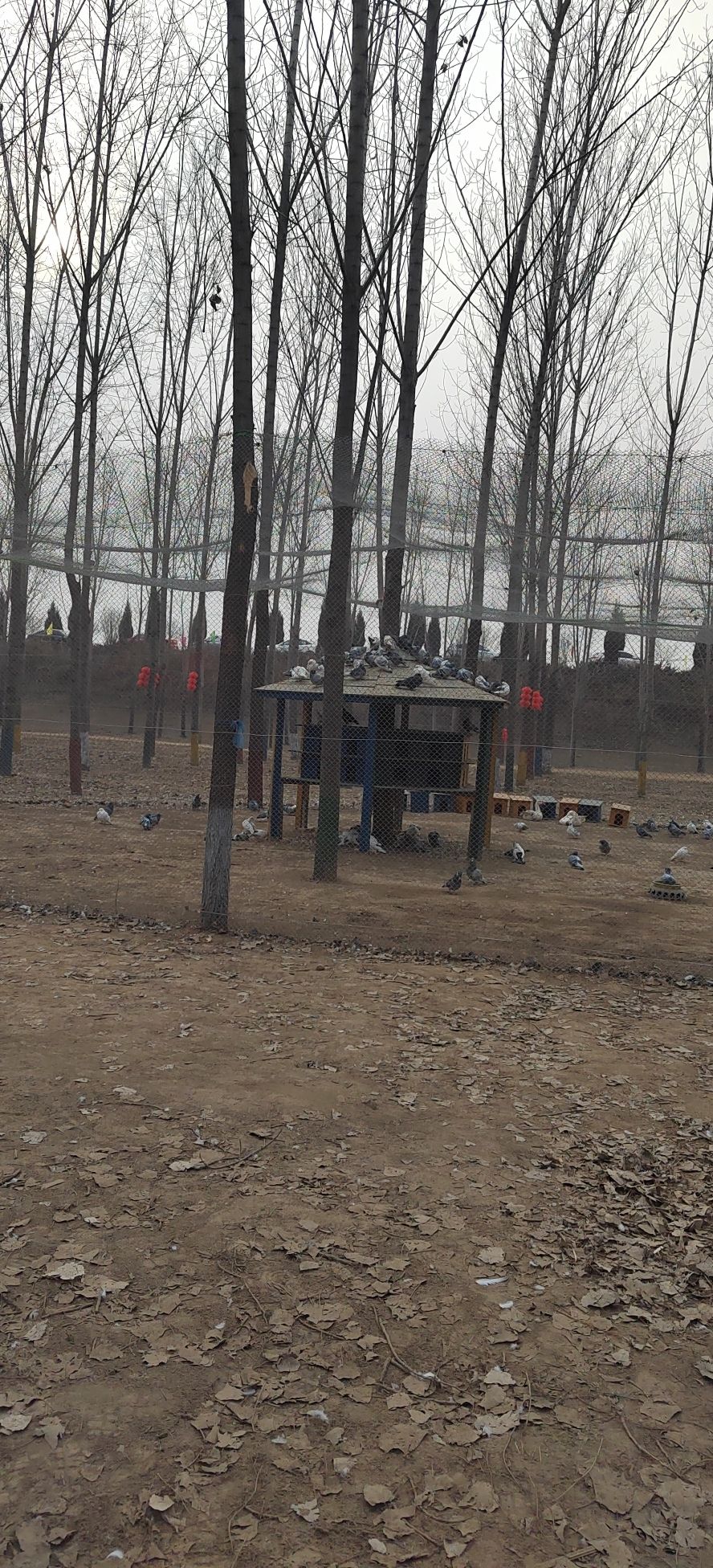 侯马林下生态观光体验园旅行图片 2