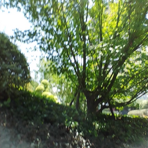 中央绿谷公园旅行图片 2