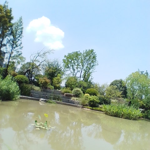 中央绿谷公园旅行图片 3