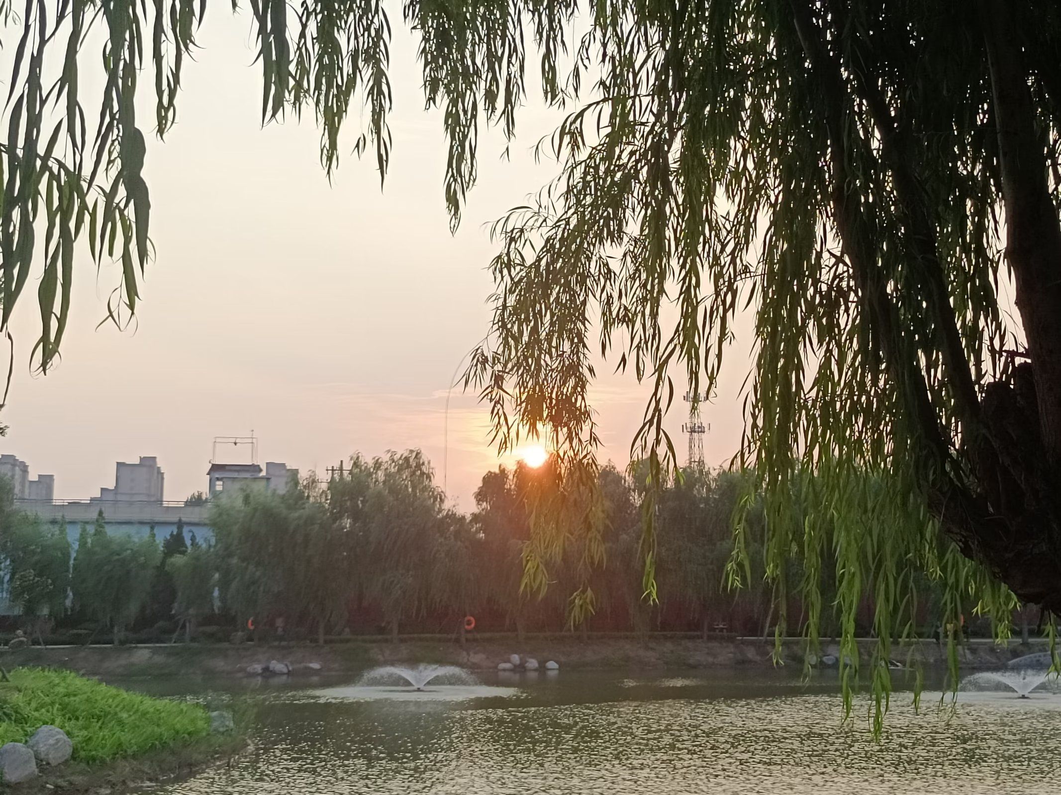 同心湖公园旅行图片 2