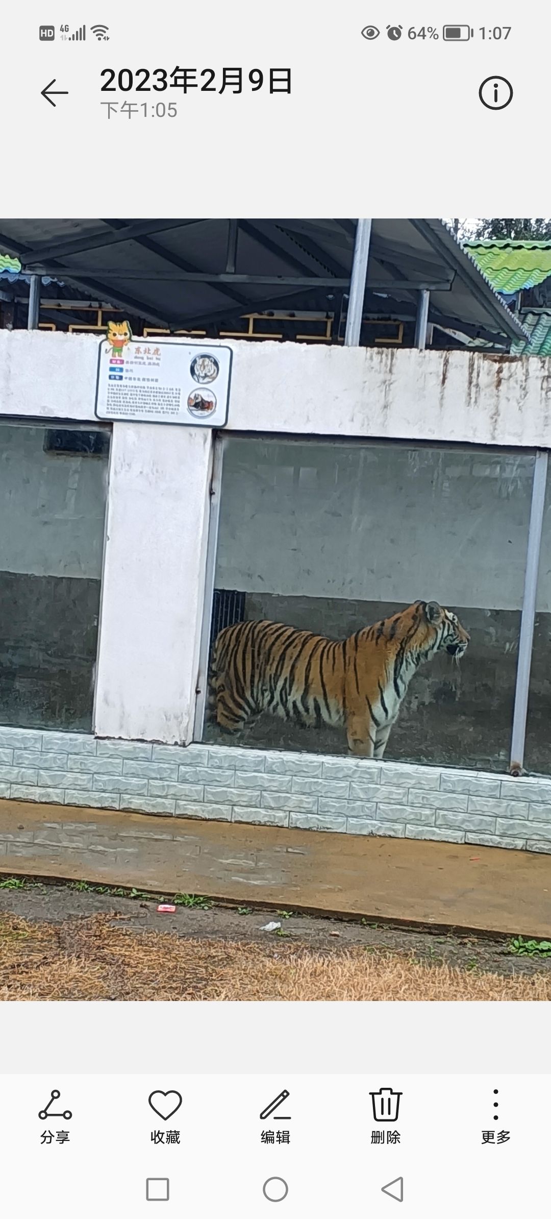 信丰希元动物园旅行图片 1