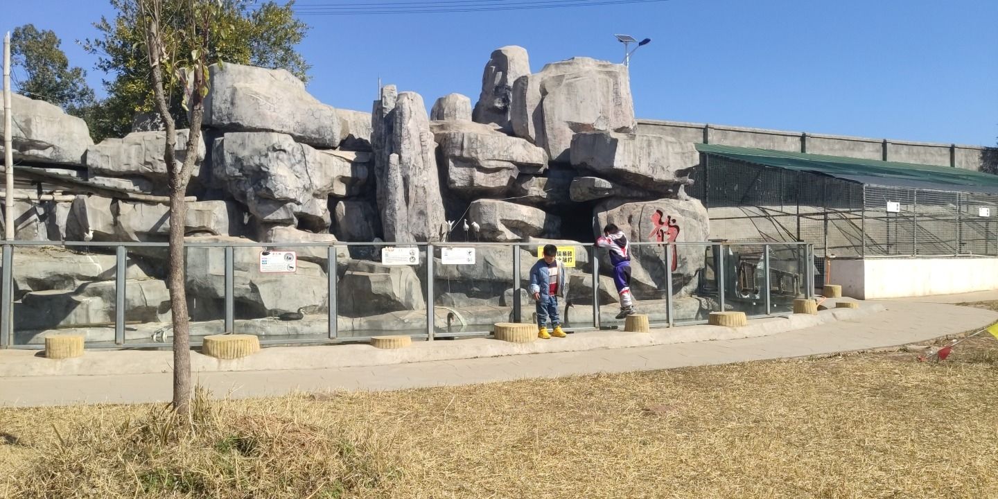 信丰希元动物园旅行图片 2