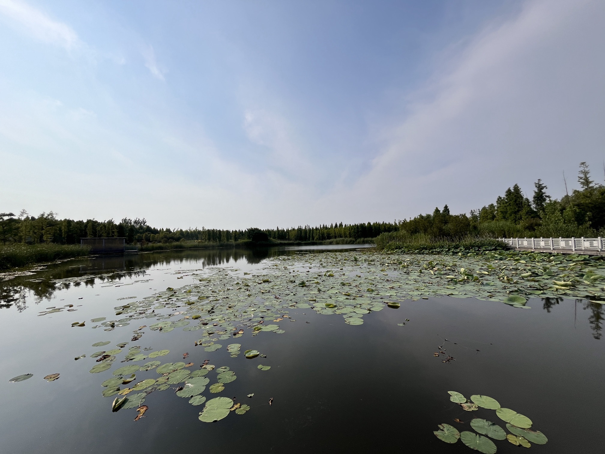 高邮湿地公园