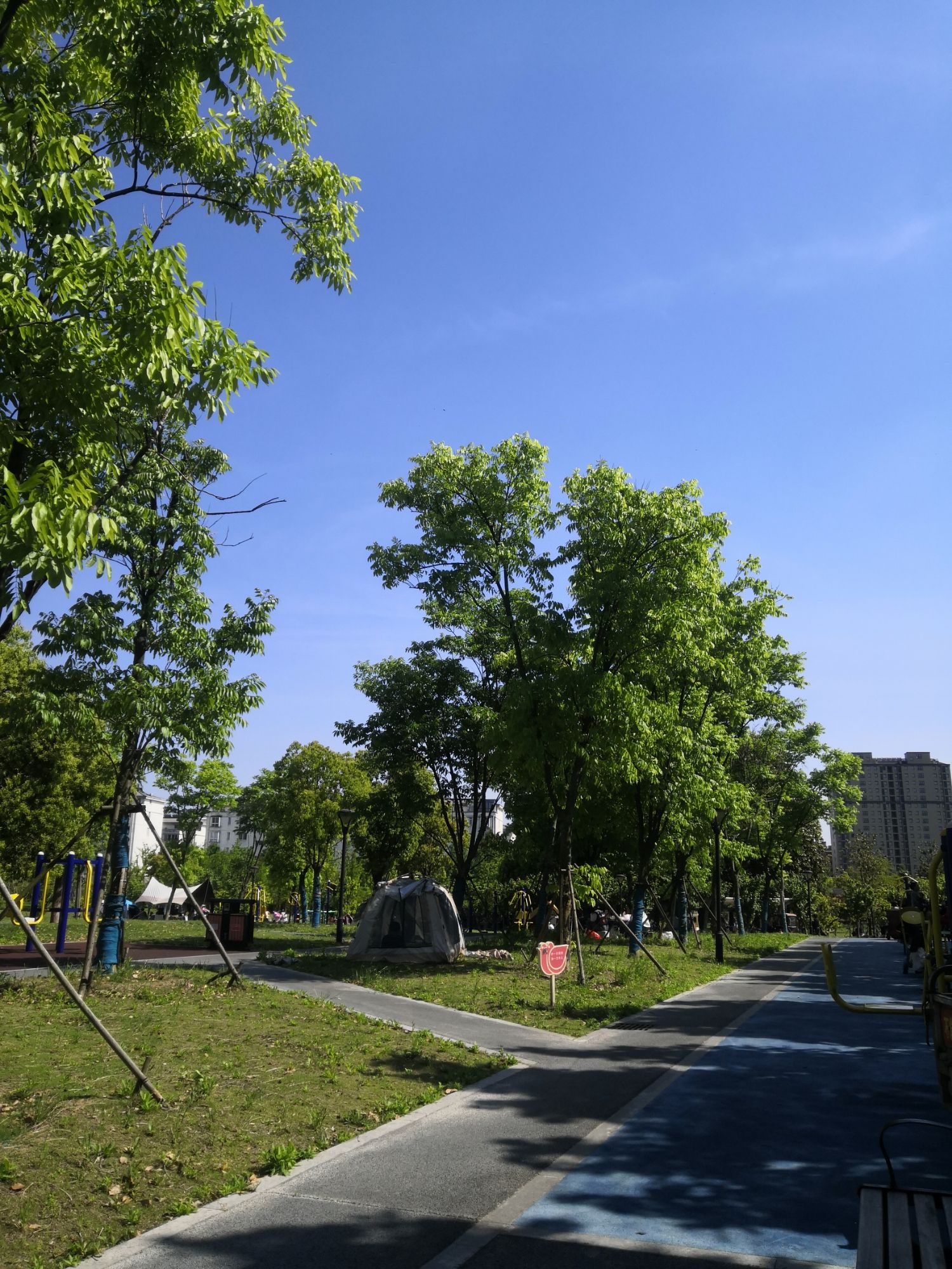 高邮湿地公园旅行图片 2