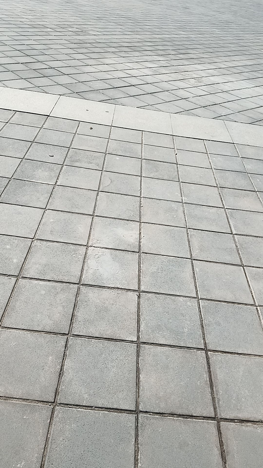 汤山湿地公园旅行图片 2