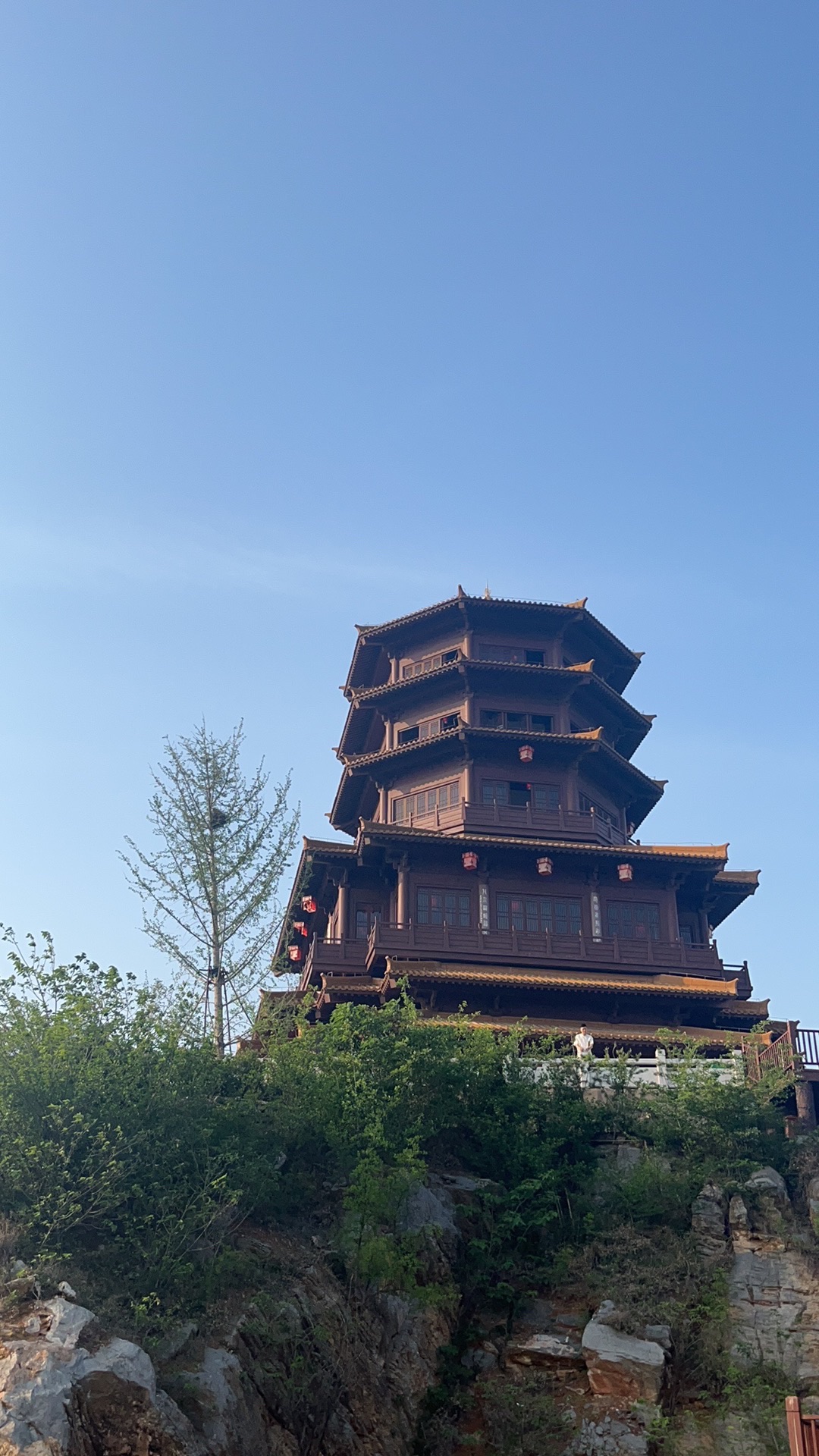 汤山湿地公园旅行图片 3
