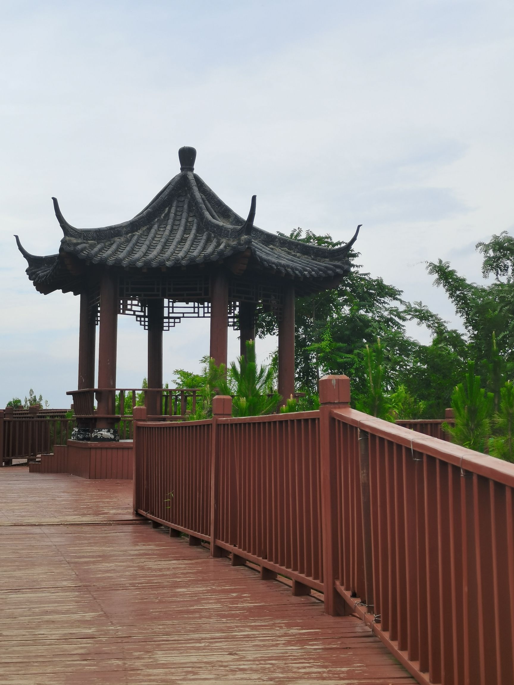 汤山湿地公园旅行图片 3