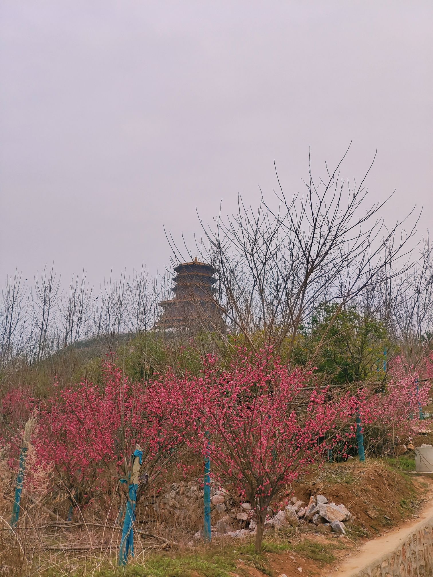 汤山湿地公园旅行图片 2