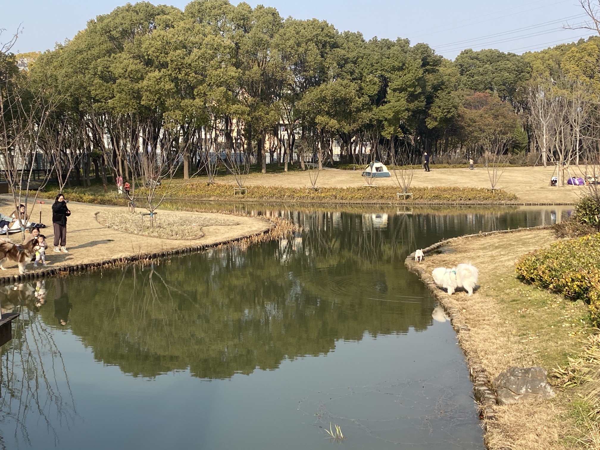 春光公园旅行图片 1